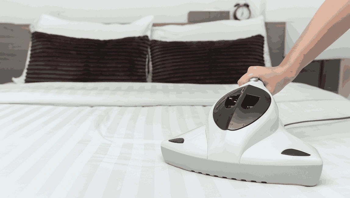 Professional Mattress Cleaning Badger Creek